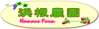 �l���_���z�[���y�[�W���S